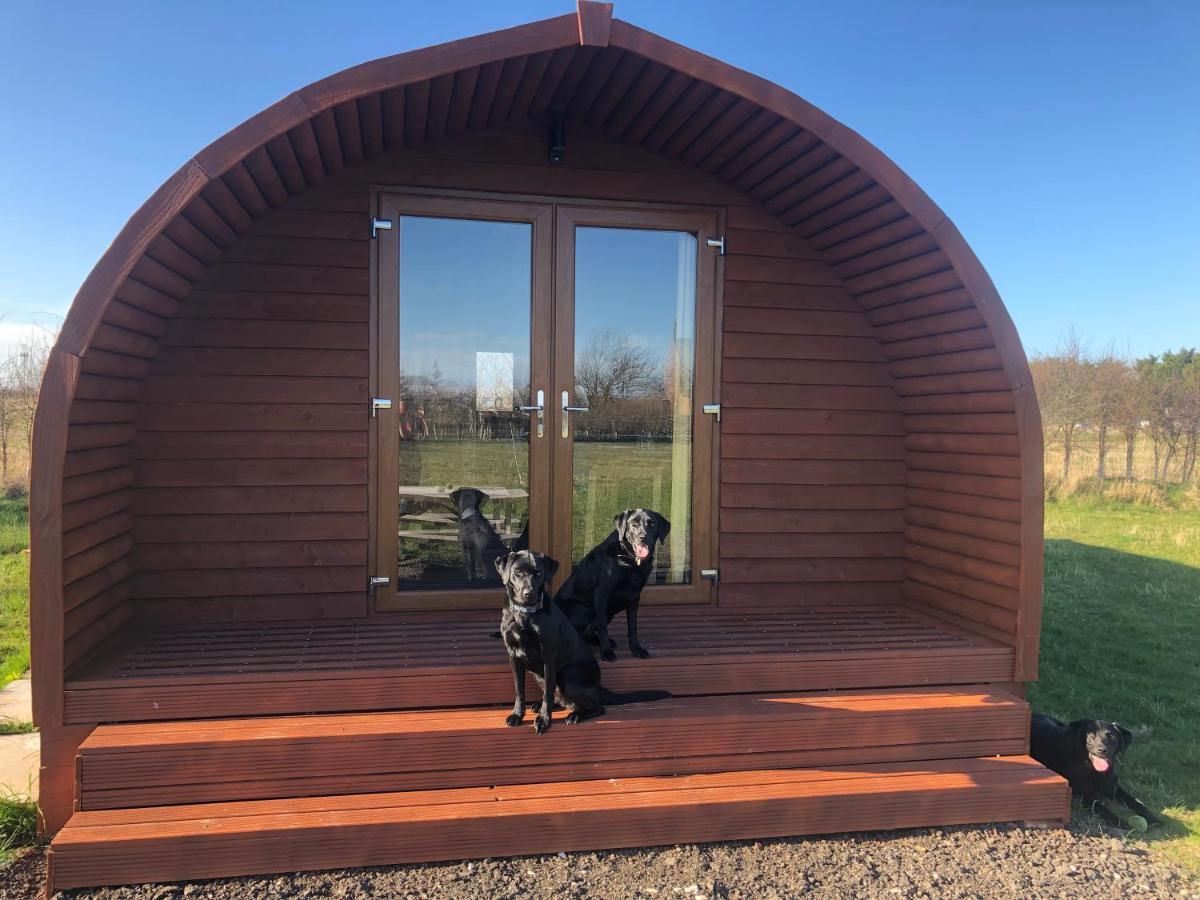Sutton-on-Sea Manor Farm Stay المظهر الخارجي الصورة