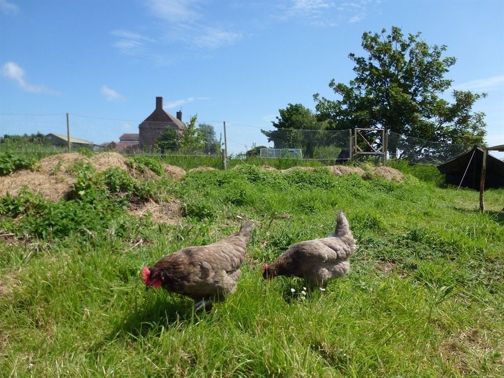 Sutton-on-Sea Manor Farm Stay المظهر الخارجي الصورة